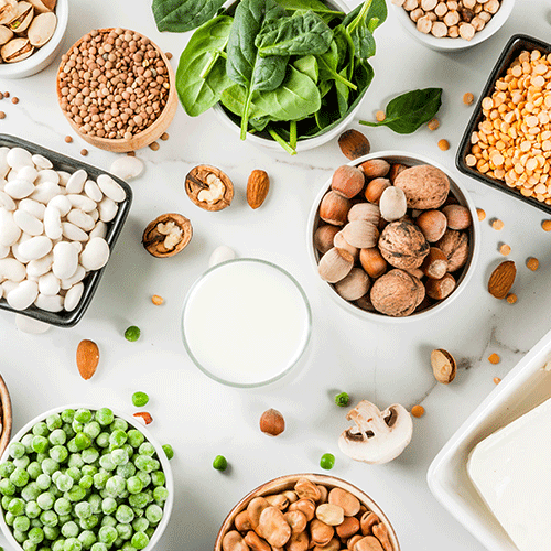 Benefits Of A High Protein Diet