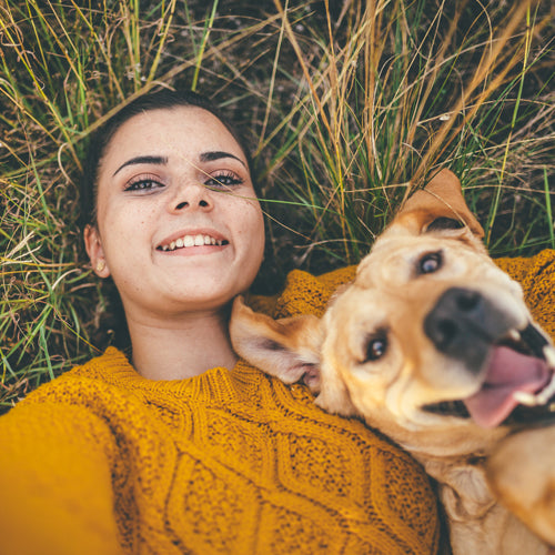 Turmeric Dosage For Dogs