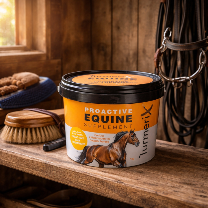 TurmeriX Proactive Equine Supplement 1kg - Natural Turmeric for Horses