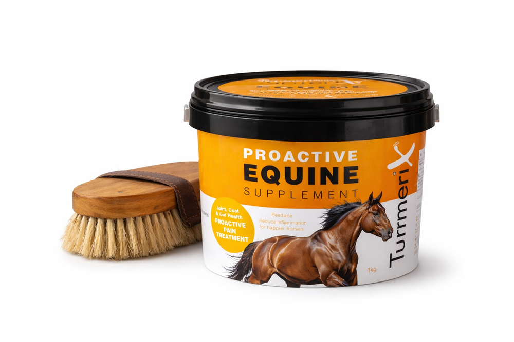 TurmeriX Proactive Equine Supplement 1kg bucket - horse joint and gut health supplement