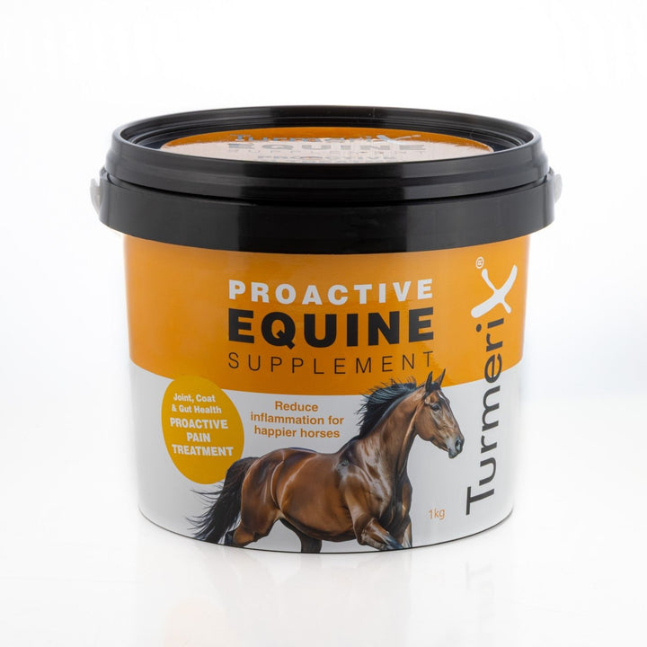 TurmeriX Proactive Equine Supplement 1kg bucket front view - natural turmeric powder for horses