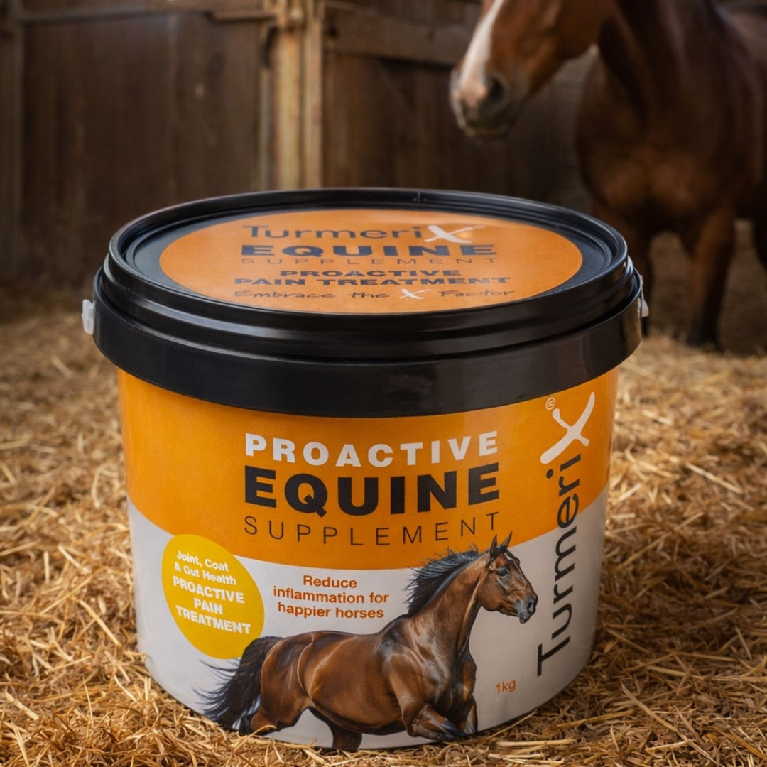 TurmeriX Proactive Equine Supplement 1kg in stable with horse - Australian made turmeric supplement